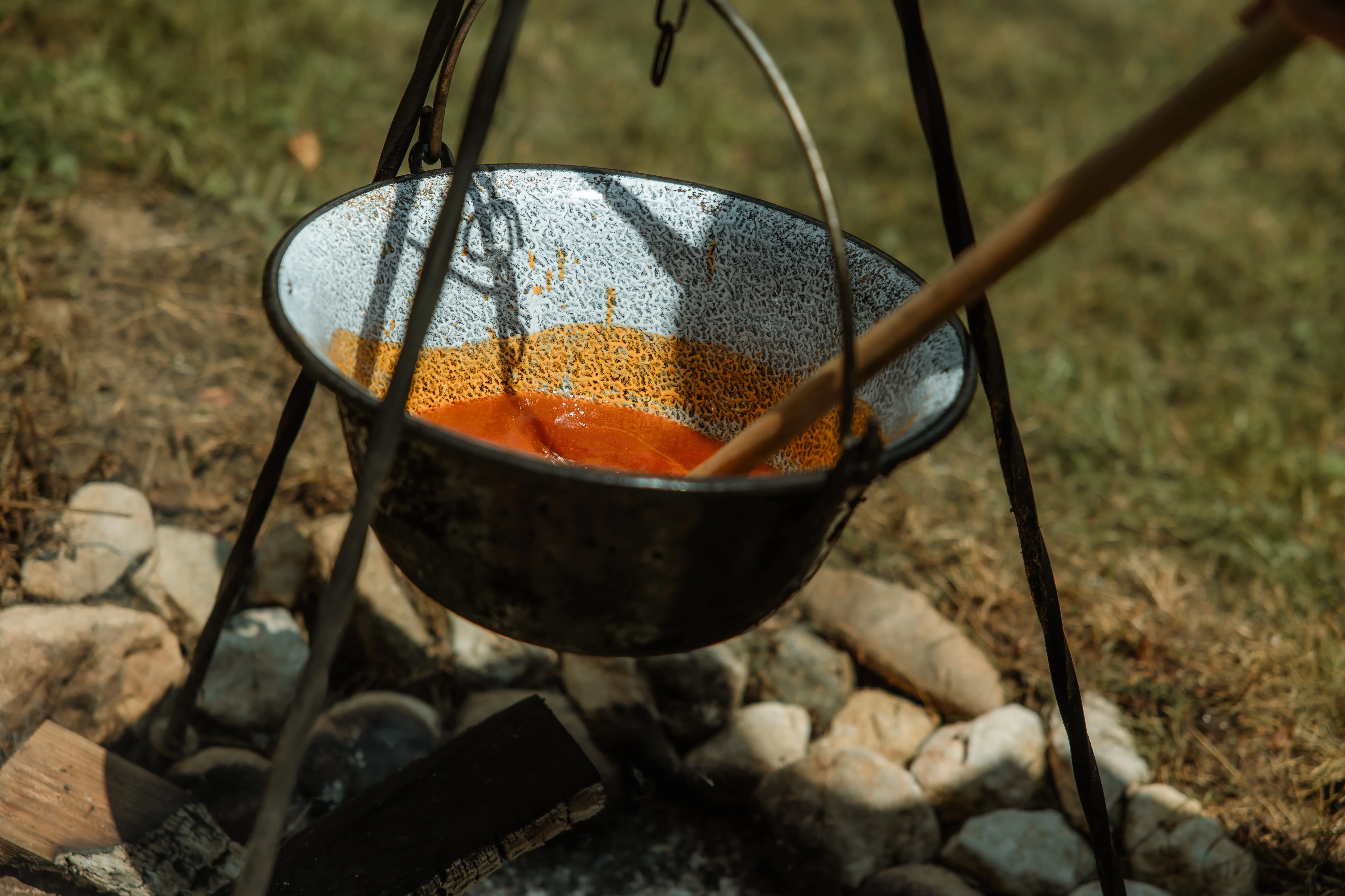 Cabana Rustică - Fotografie 39