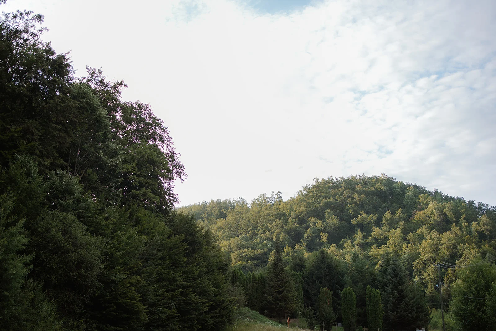 Cabana Rustică - Fotografie 51