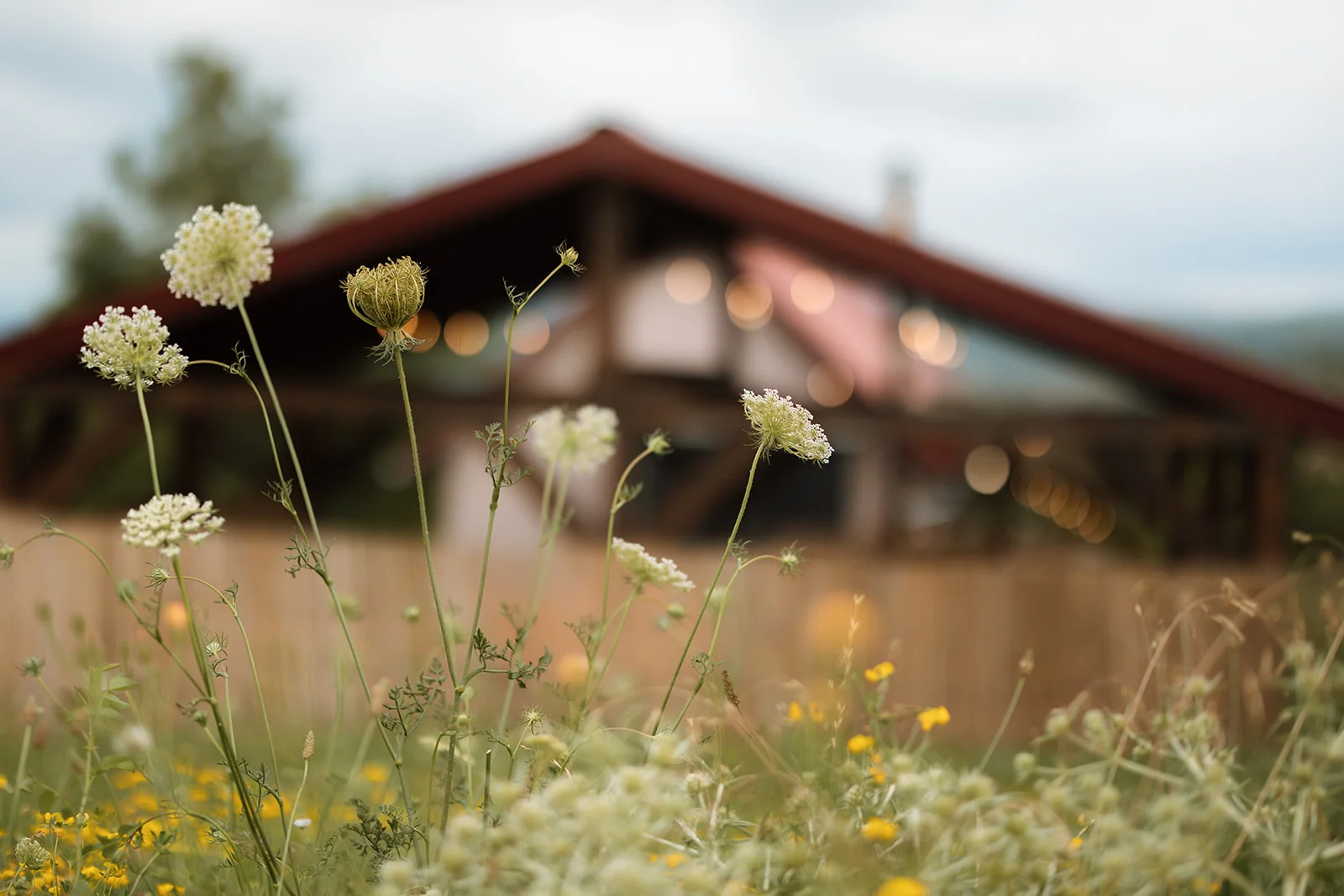 Casa Panorama - Fotografie 21
