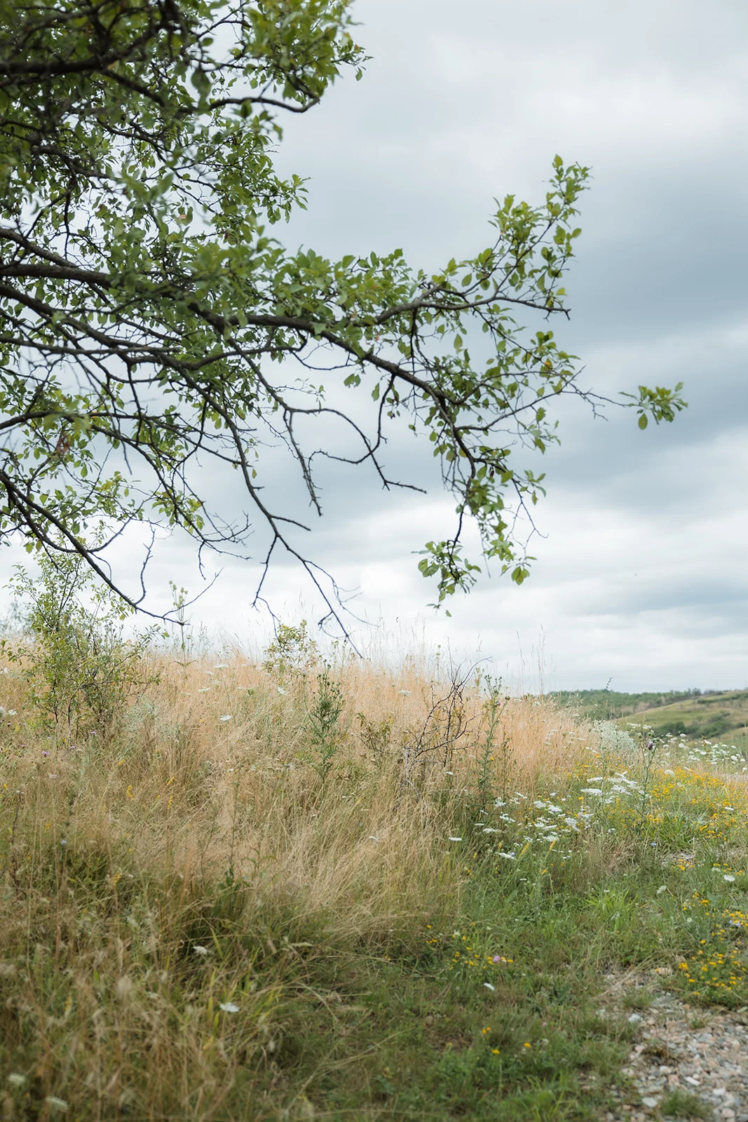 Casa Panorama - Fotografie 27