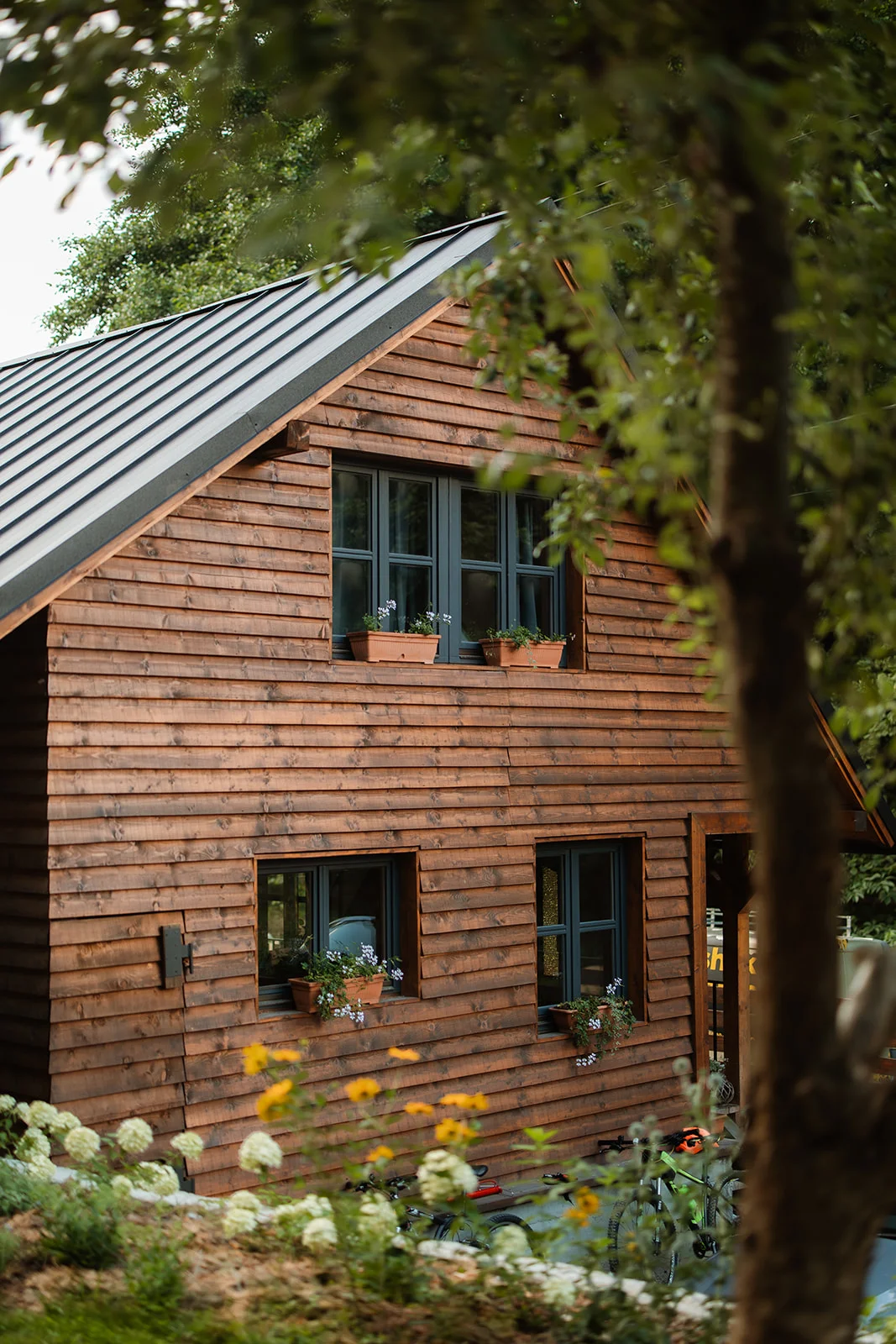 La Pomme - Fotografie 2