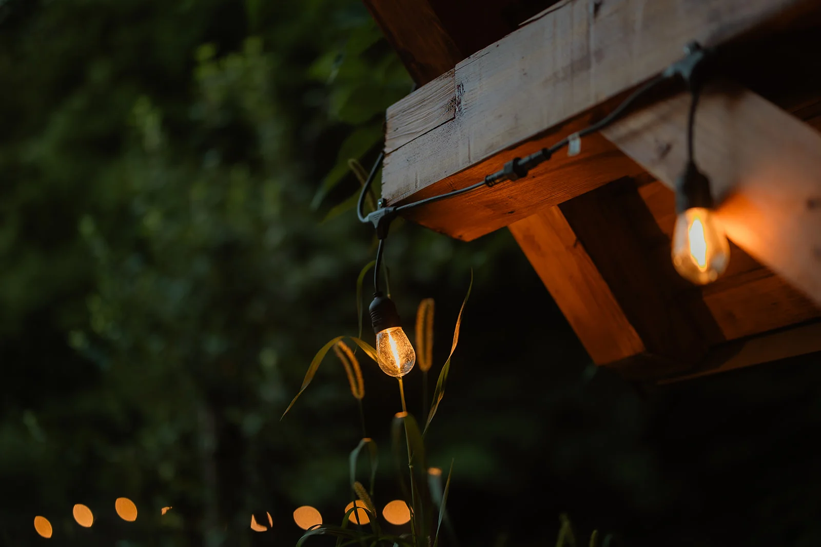 La Pomme - Fotografie 33