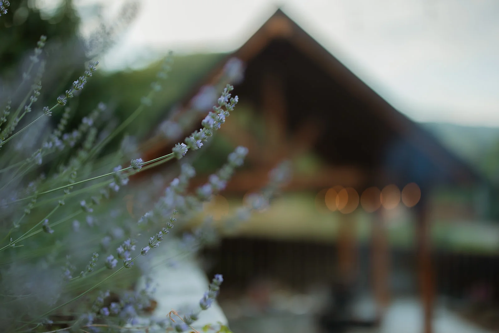 La Pomme - Fotografie 34