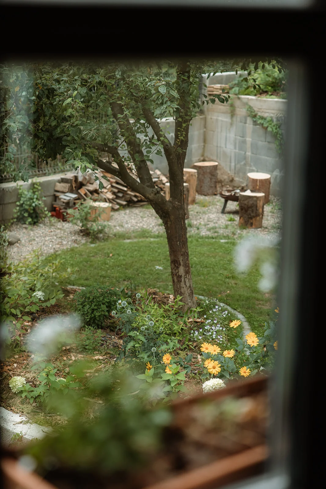 La Pomme - Fotografie 46