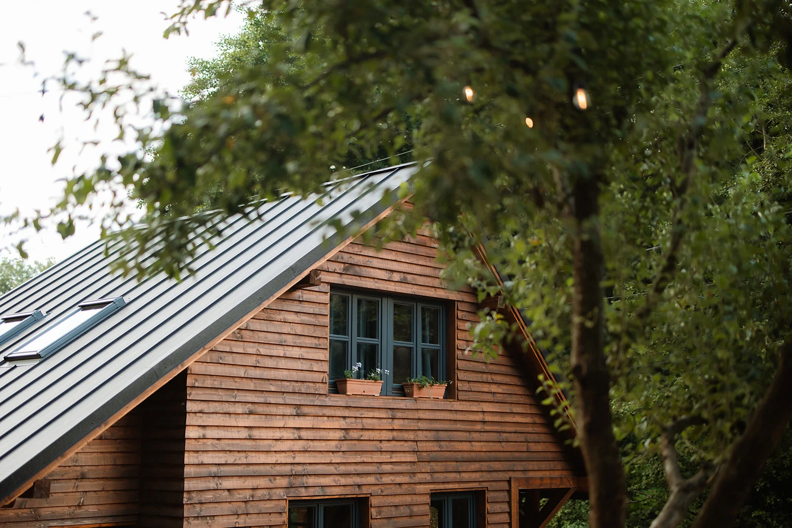 La Pomme - Fotografie 48