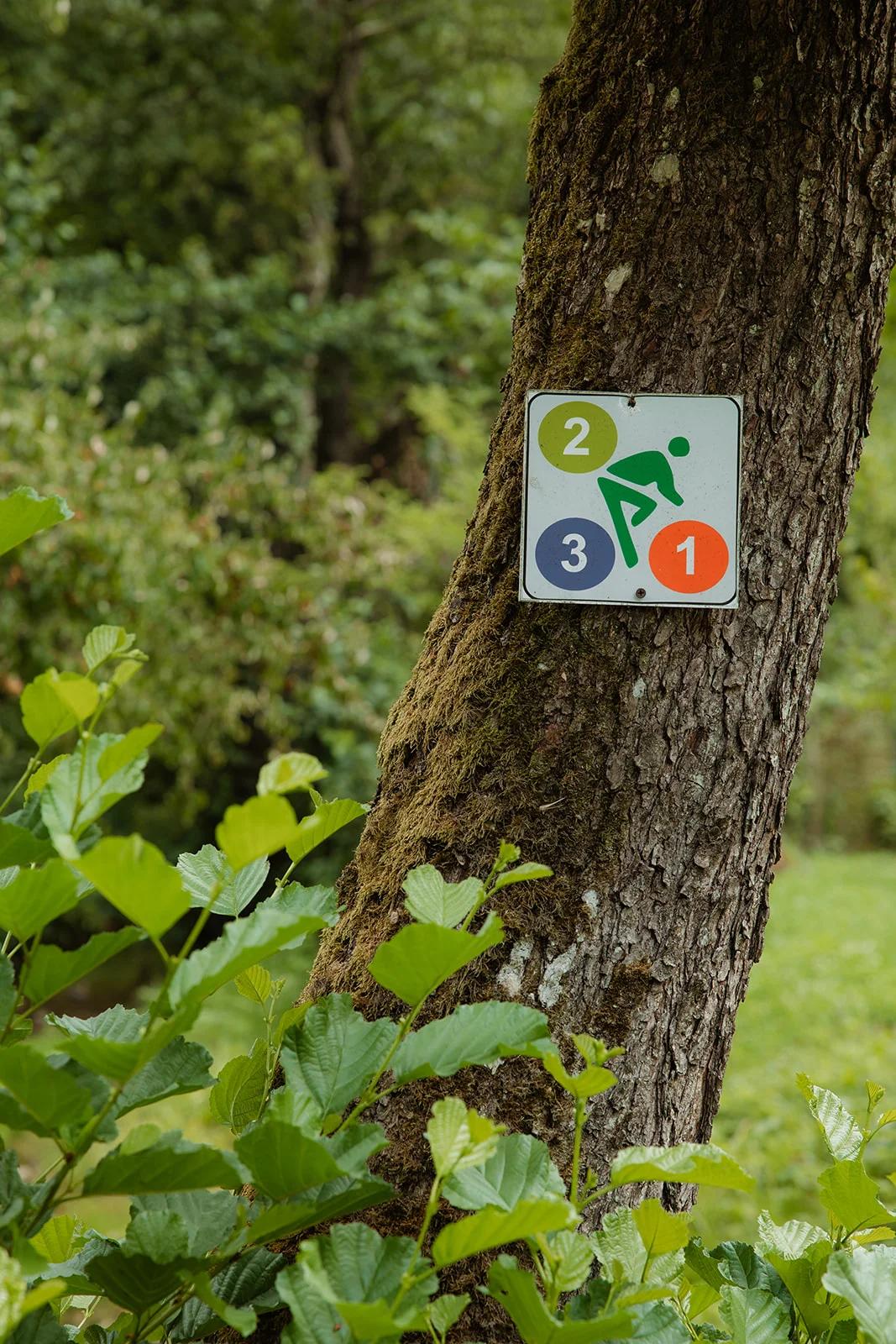 La Pomme - Fotografie 51