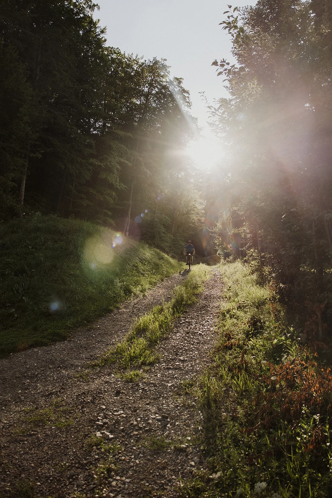 La Pomme - Fotografie 54