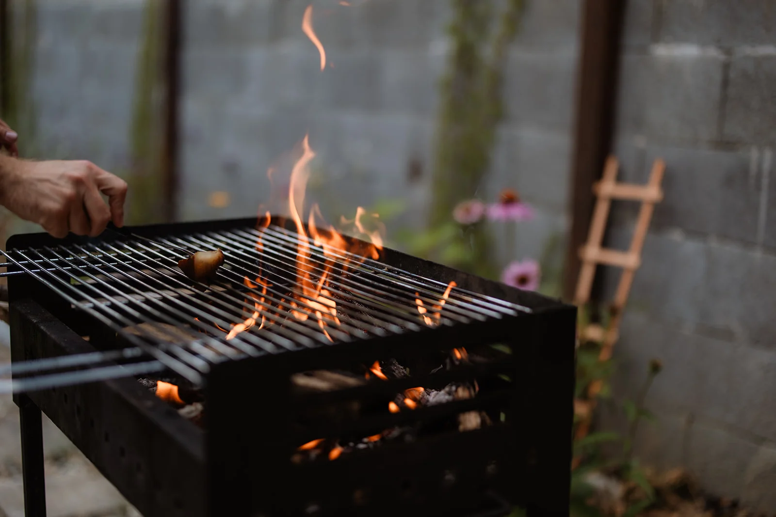 La Pomme - Fotografie 56