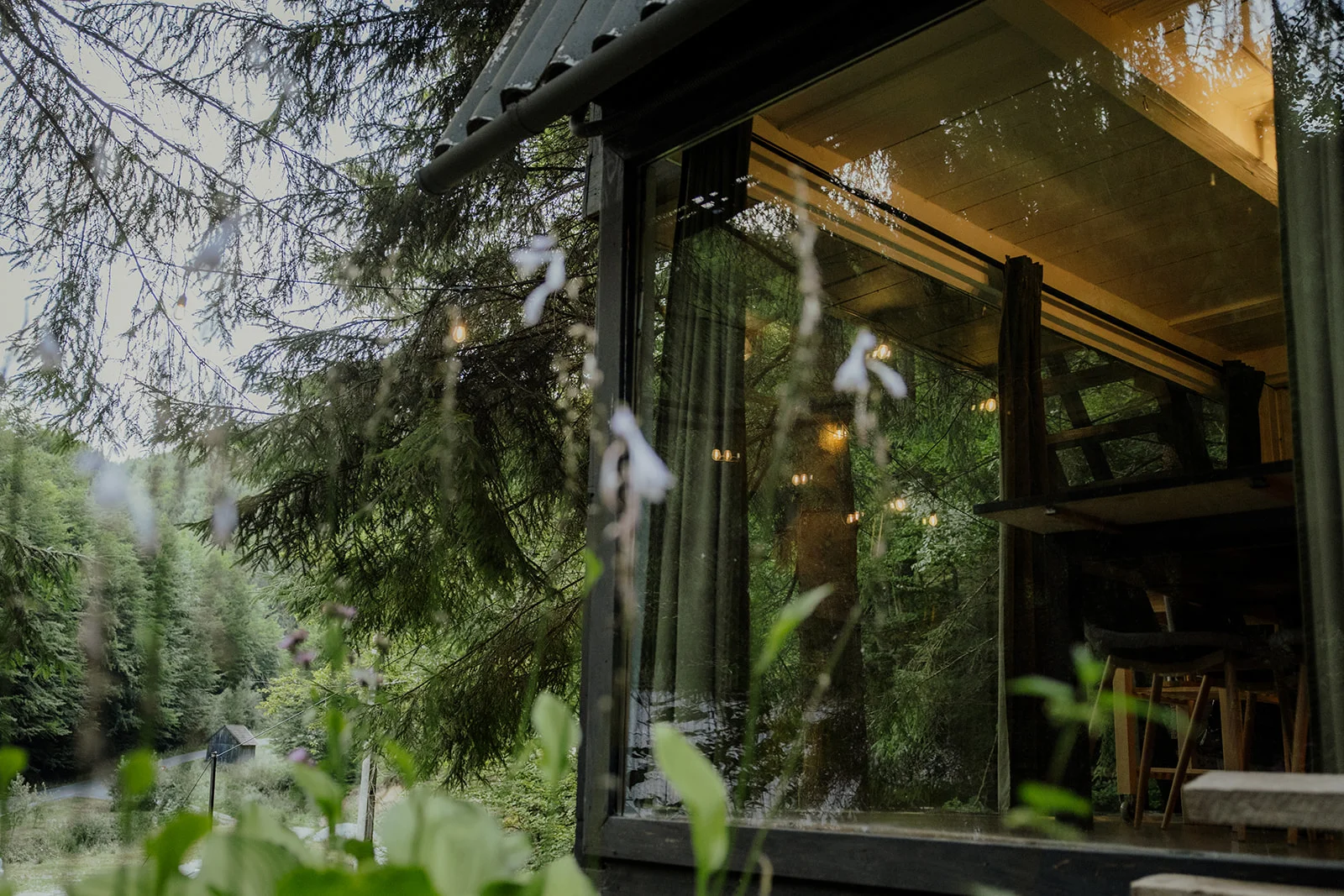 Sturzul Negru - Fotografie 5