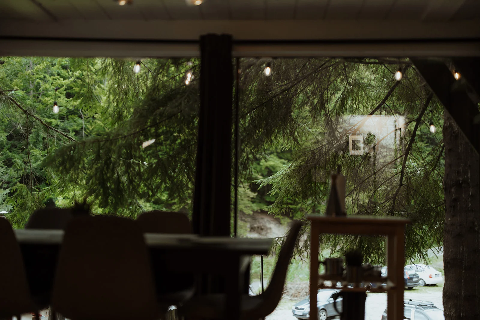 Sturzul Negru - Fotografie 11