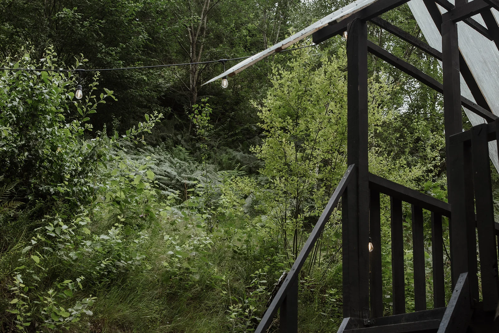 Sturzul Negru - Fotografie 22