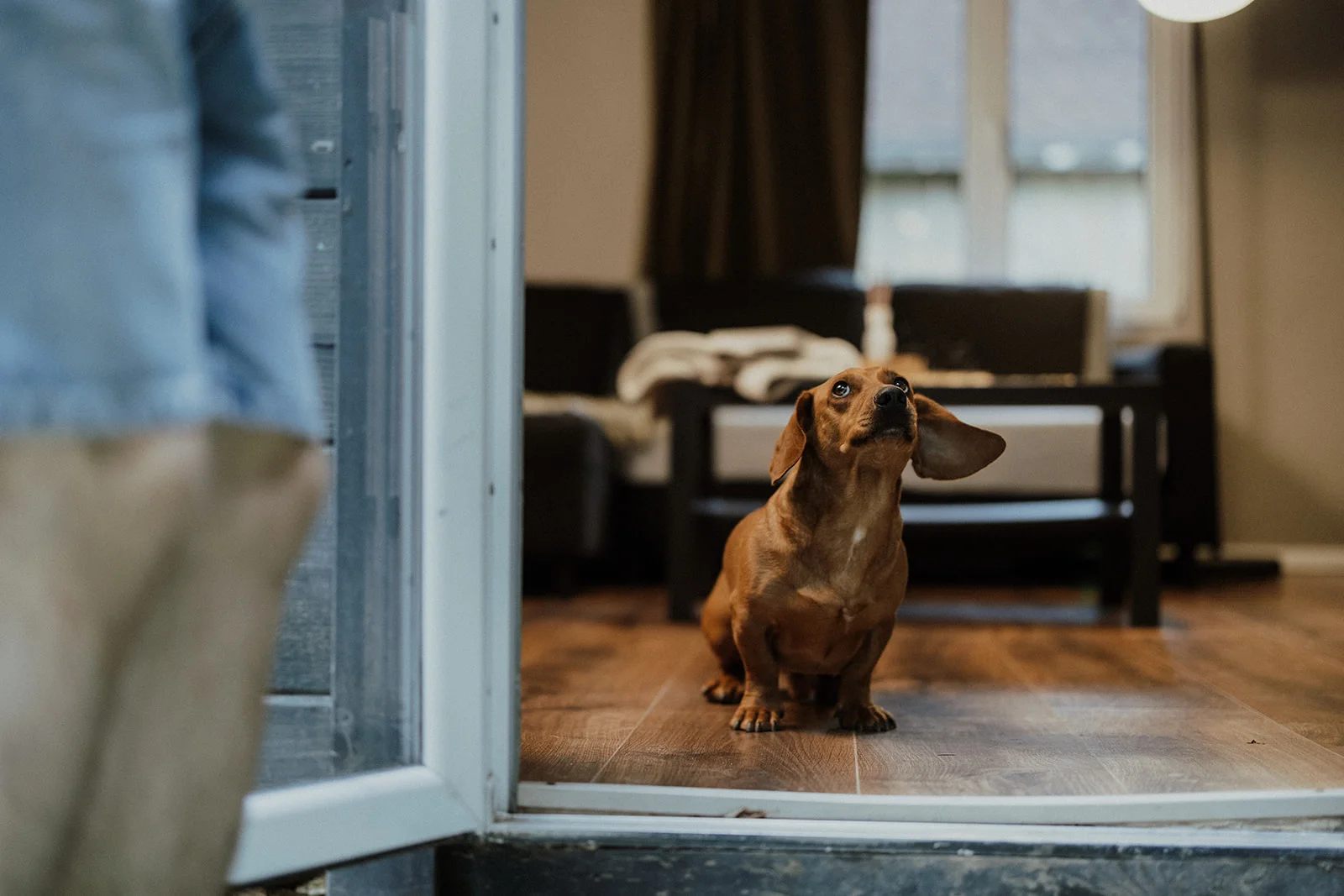 Sturzul Negru - Fotografie 23