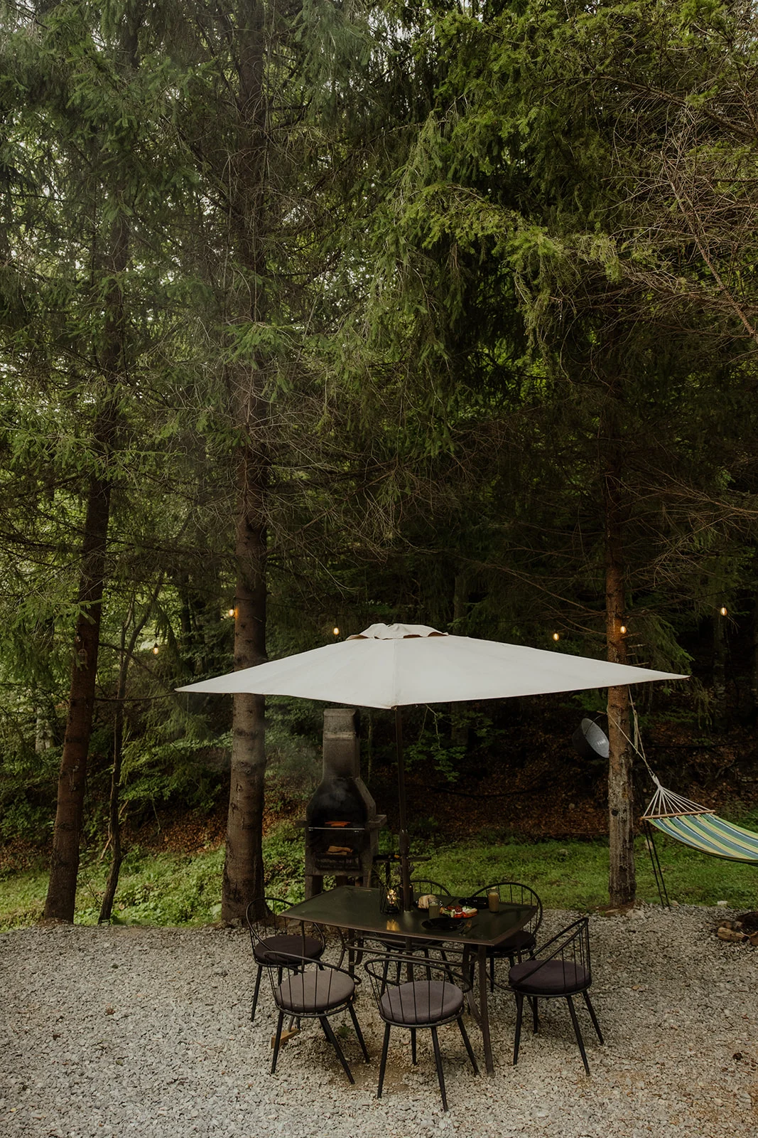 Sturzul Negru - Fotografie 25