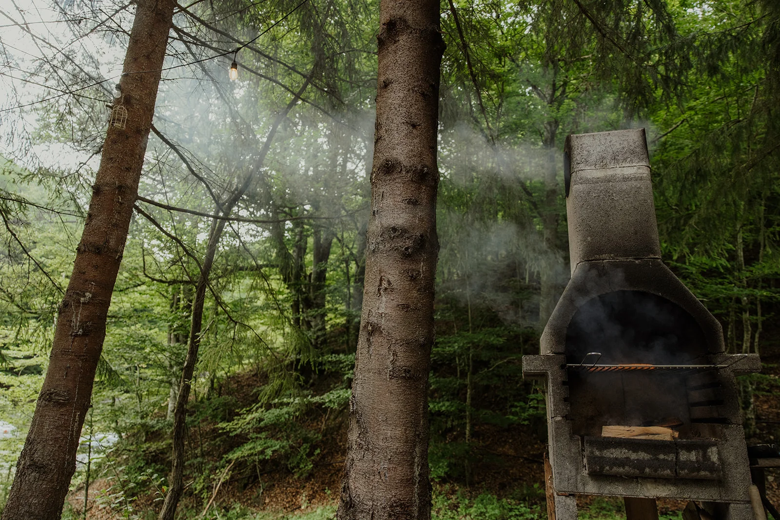 Sturzul Negru - Fotografie 27