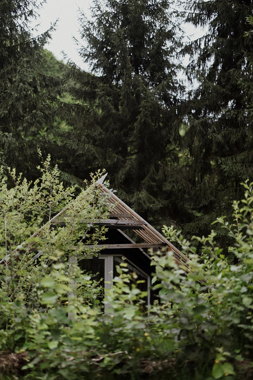 Sturzul Negru - Fotografie 39