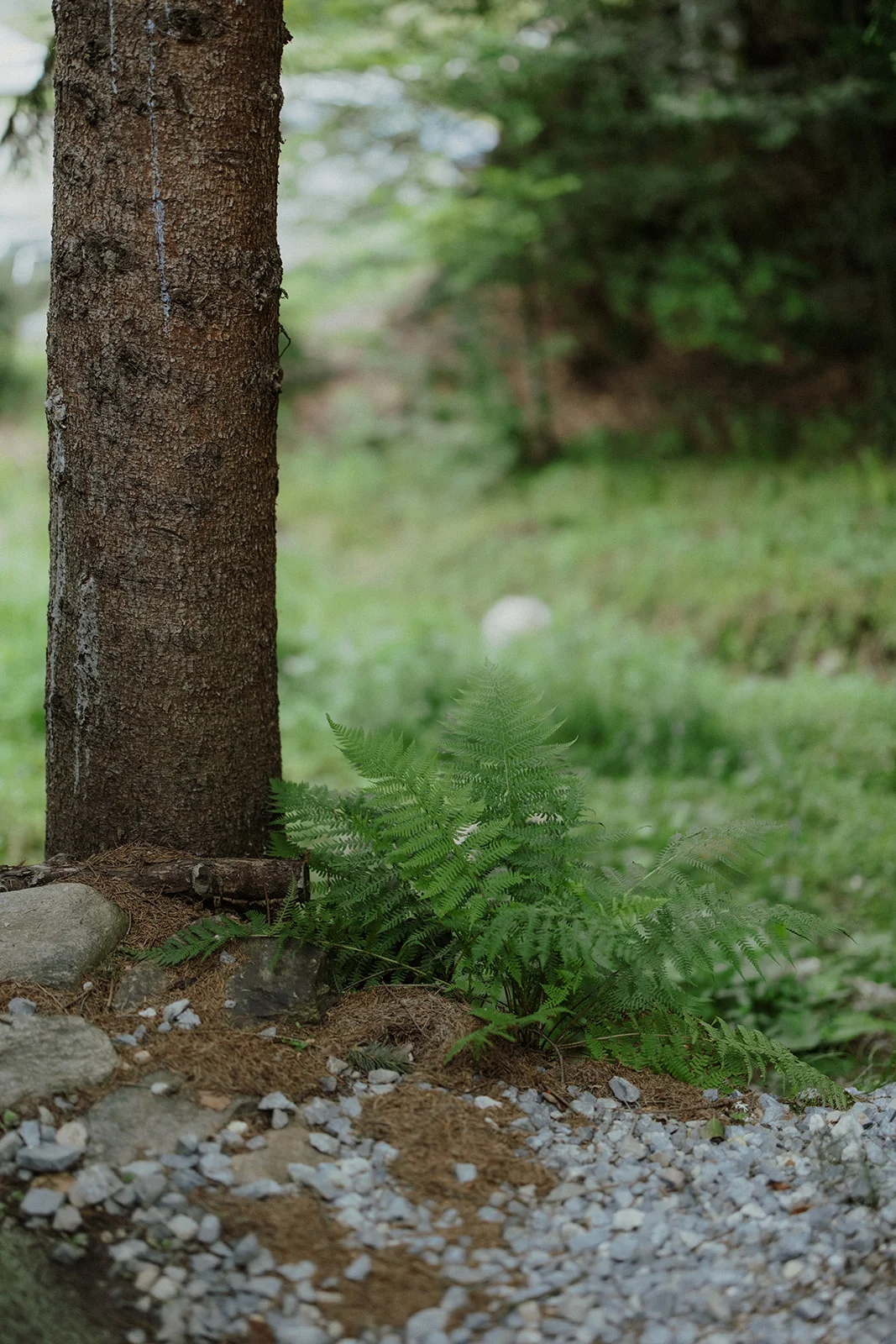 Sturzul Negru - Fotografie 43