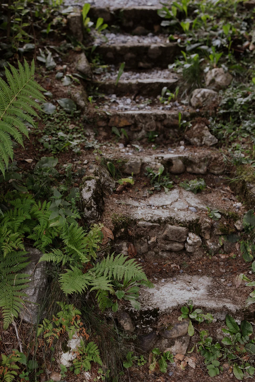 Sturzul Negru - Fotografie 46